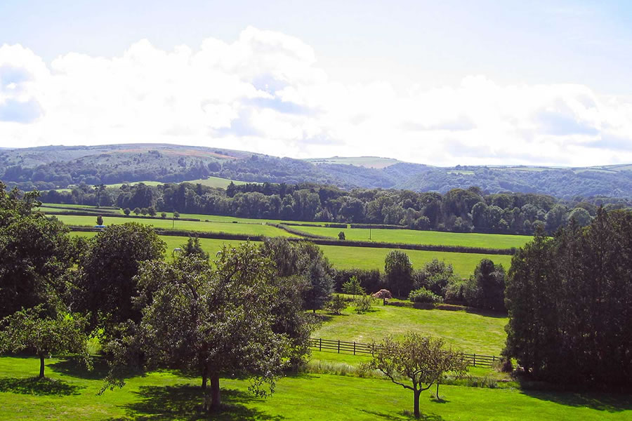 bossington-hall3