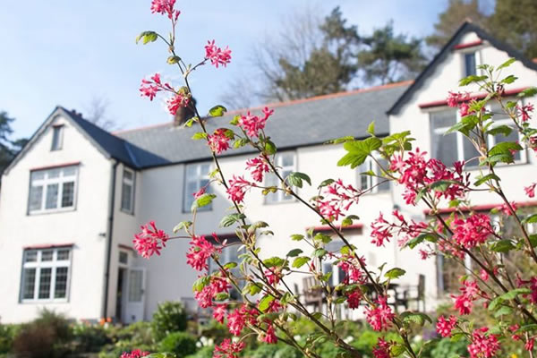 edgecott-bed-and-breakfast