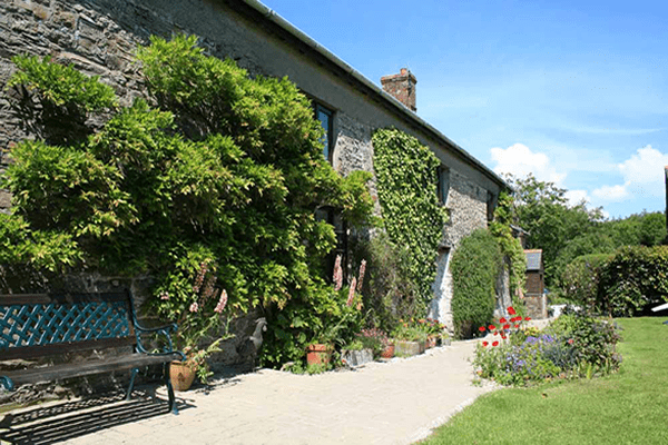 front-image