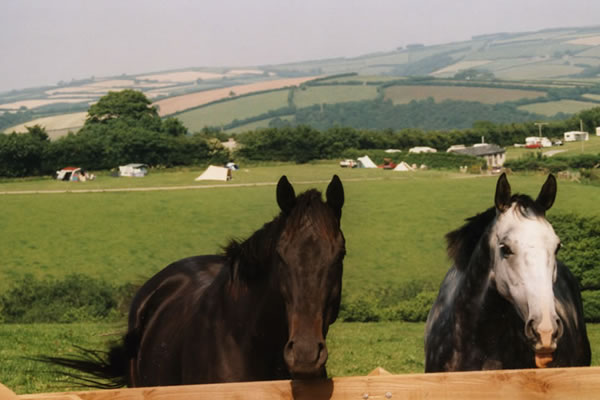 halse-farm3
