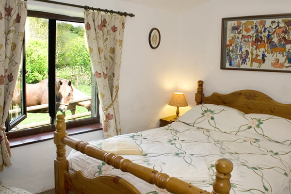 riscombe-cottage-exmoor-horse